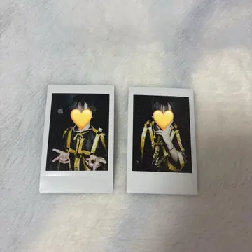 우스이 마사무네 마사무네 폴라로이드