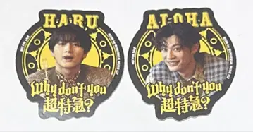 초특급 하루 알로하 스티커 카페 CD 세트