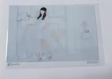 타무라 유카리 Felice 브로마이드 앨범 혜택 사진