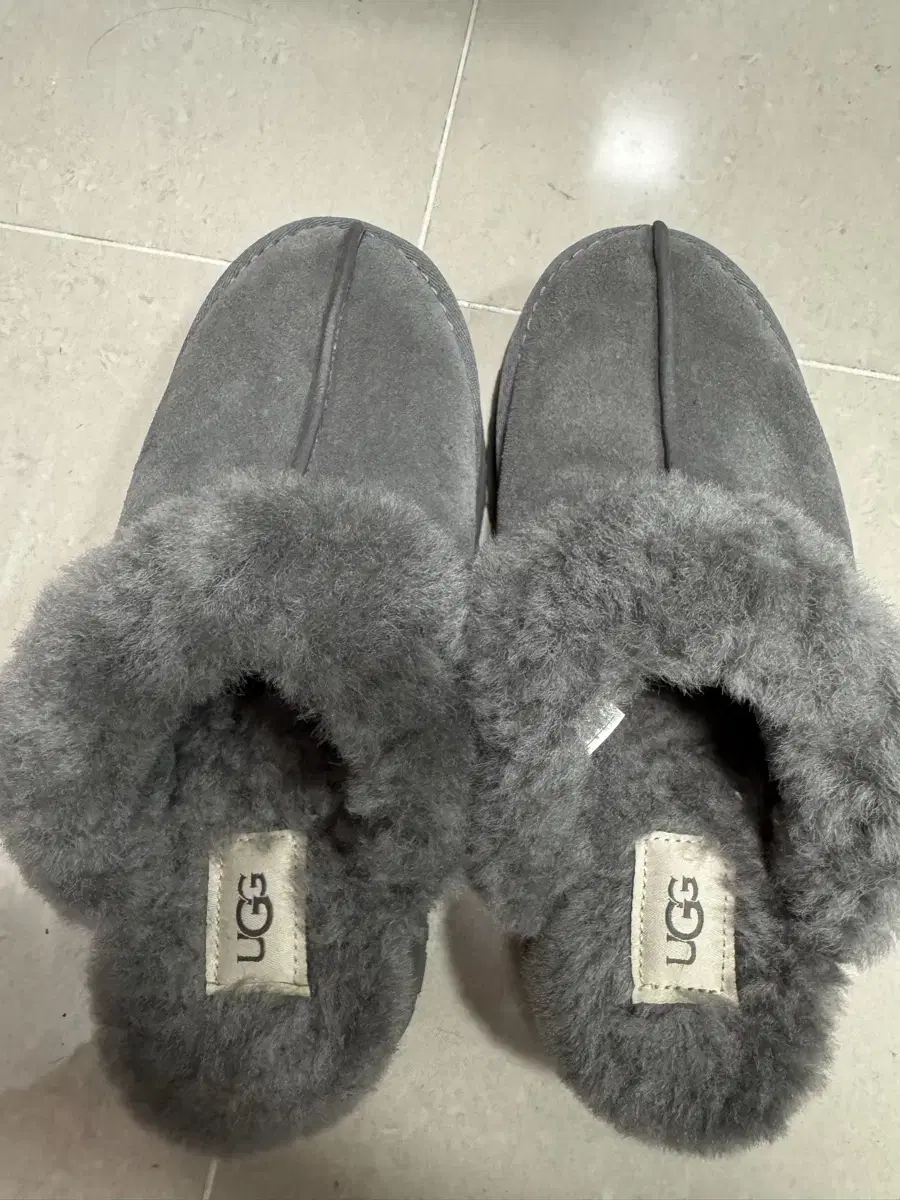 Ugg Disquette Charcoal 240
