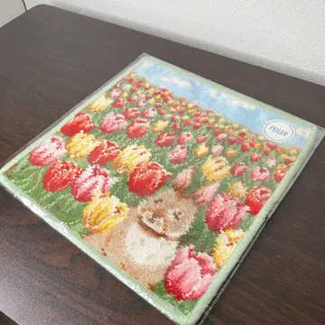 페이러 타월 손수건 화장품 주방