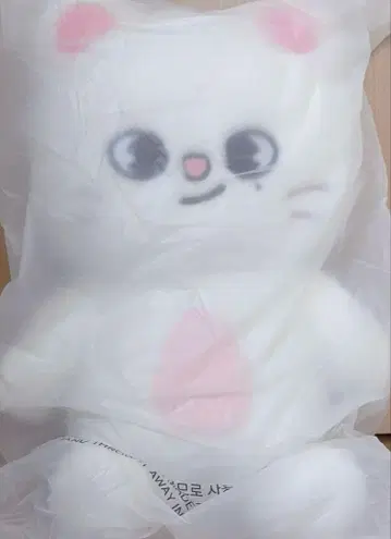 SKZOO 지니레토 테디베어
