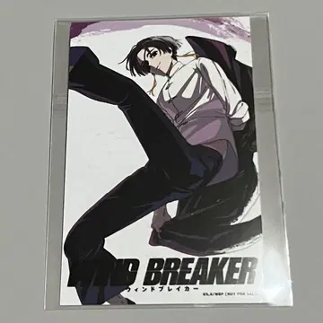 WIND BREAKER 자켓 그림체 미니 브로마이드 소샹샹