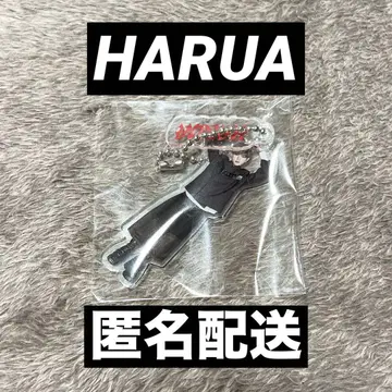 &TEAM HARUA 하루아 아크릴 참 달늑대 팝업 한정판
