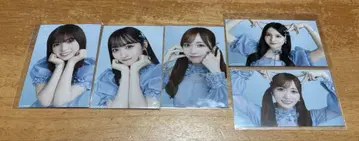치트 데이 미니 브로마이드