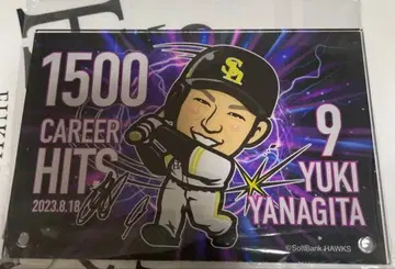 와카타카 가챠 야나기타 아크릴 프레임