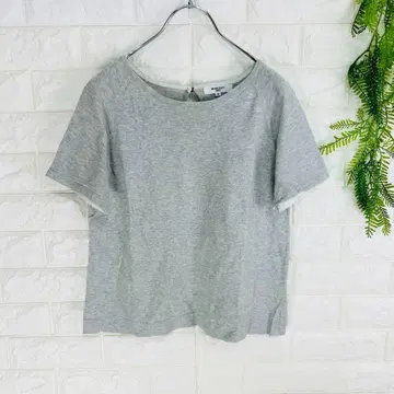 내추럴 뷰티 베이직 그레이 코튼 반팔 티셔츠 [M] 디어 드롭