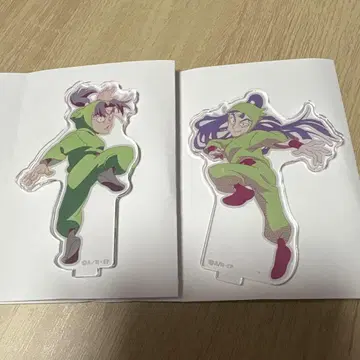 닌자 타마 아크릴 스탠드 라이트 6학년