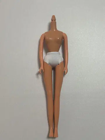 리카짱 캐슬 제니 바디 27cm 인형 바디 일광화상 피부