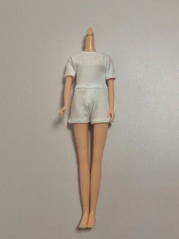 리카짱 제니짱 리카짱 캐슬 바디 27cm 인형 바디