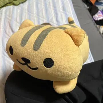 고양이 봉제 인형