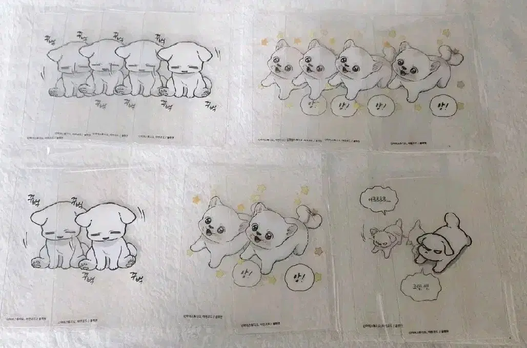 Don't Touch the Puppy Gang Geon-ma Transparent Poca wts