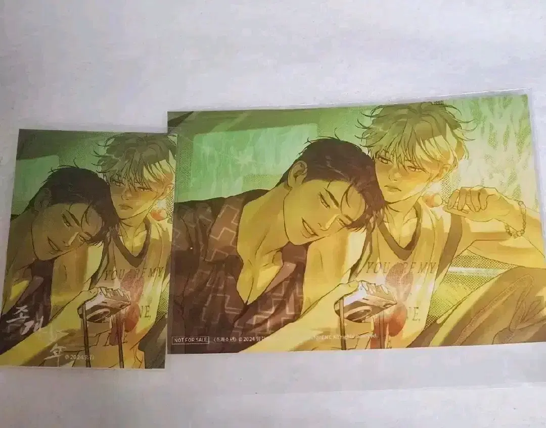 Boy Clam pre-order benefit printed photo and admission sticker wts