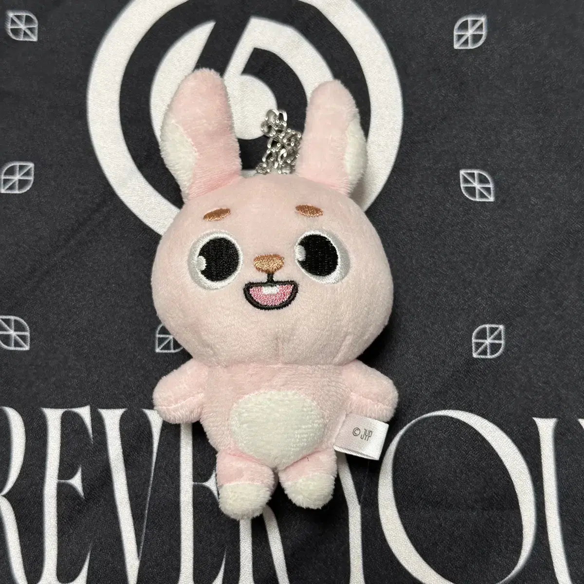 DAY6 | 데이식스 DAY6 Japanese Goods Bag Charm Pil on Bunjang