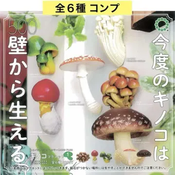 이번 버섯은 벽에서 자랍니다. 버섯 마그넷 1 총 6종 컴프 버섯 가챠