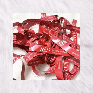 야마다 료스케 RED LIVE TOUR 2025 은 테이프 11권