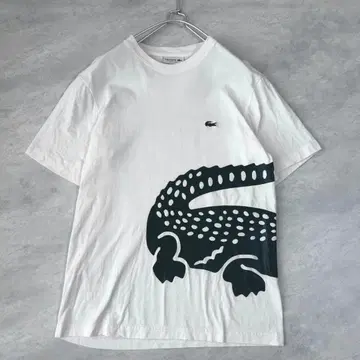 LACOSTE 라코스테 반팔 티셔츠 M (US.S) 데카와니 빅 로고