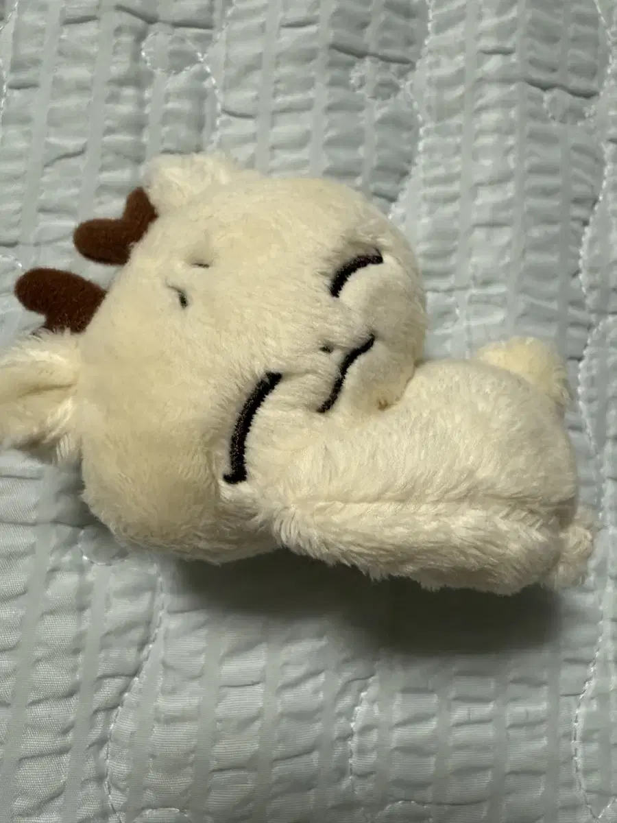 Jjongmochi doll