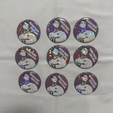 하이큐 우시지마 와카토시 올스타 캔뱃지