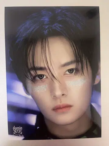 Stray Kids 리노 dominATE 트레이딩 카드