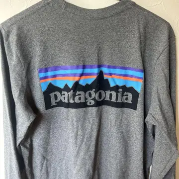 Patagonia 롱 T 그레이