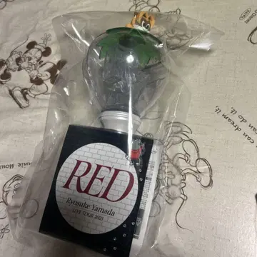 RED 응원봉