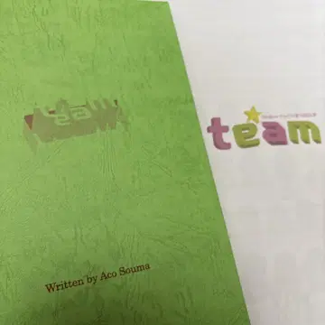 무대 팀 대본, 팜플렛