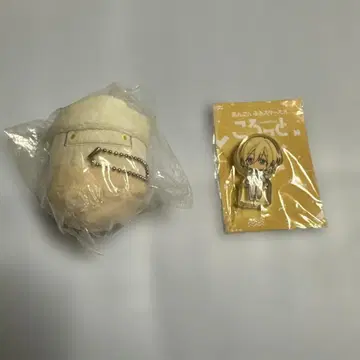 텐쇼이 에이치 모치마스 코로토 앙스타