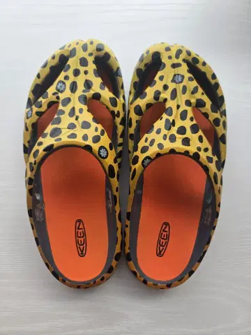 KEEN SHANTI ARTS 레오파드 레오파드 24cm