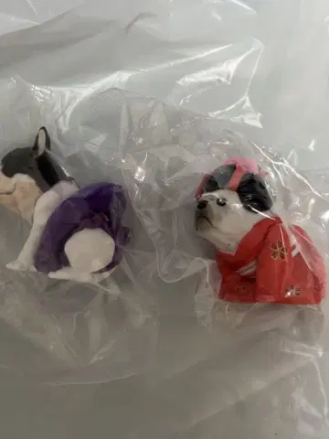프렌치 불독 프렌즈 재팬 프렌치 불독 썸머 프렌치 불독