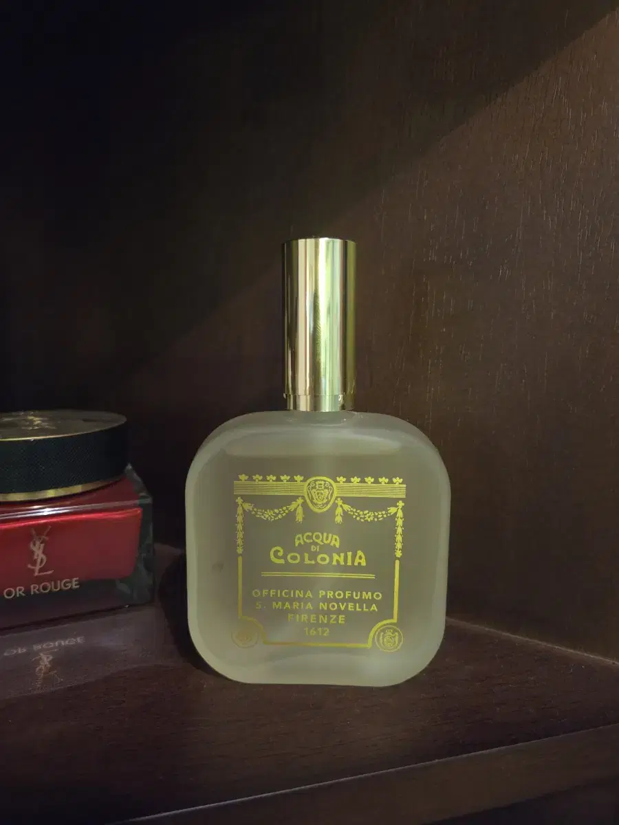 Santa Maria Novella Iris