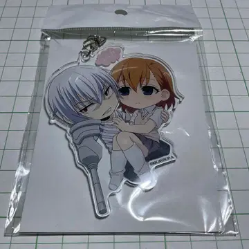 특정 과학의 일방통행 일방통행 미사카 10046호 아크릴 키링