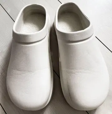 라쿠바키 이지 사보 M