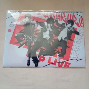 히프노시스 마이크 DRB Rep LIVE side B.B 팜플렛