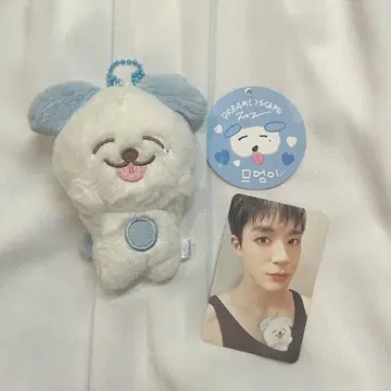 nctdream 제노 봉제 인형 마그넷 인형