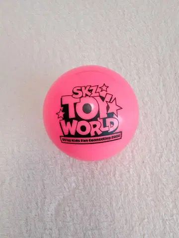 StrayKids 펜미 사인 공