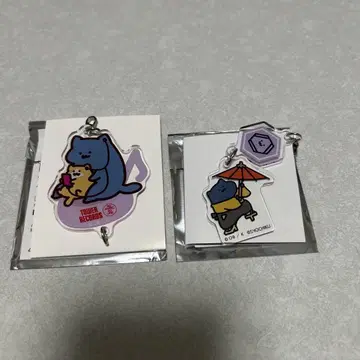 문구와 함께 고양이 세트