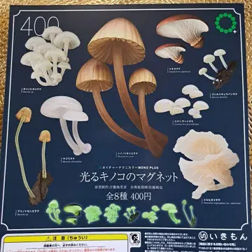 빛나는 버섯 마그넷 전 8종 가챠 피규어 버섯