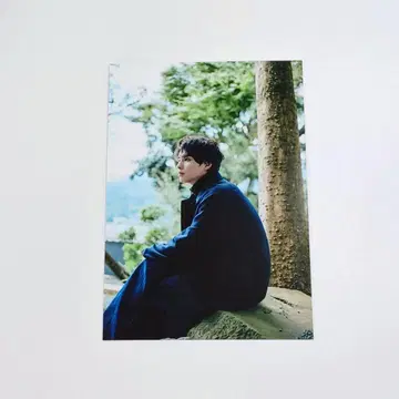 혼다 코야 브로마이드 F