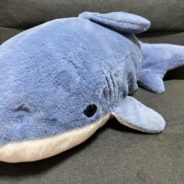 파란색 상어 모양의 봉제 인형