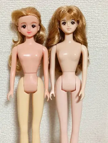 제니 인형 본체 2개