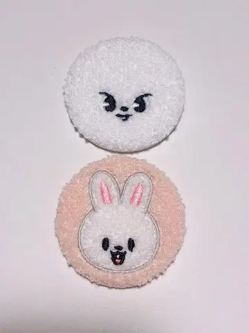 스키즈 skzoo 리노 Lee 비트 캔 배치 펜미
