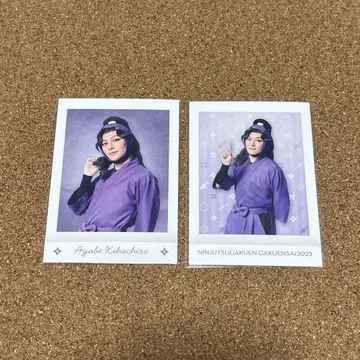 닌뮤 아야베 기하치로 파샤코레