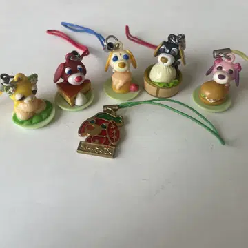 차 켄 스트랩 5개 세트