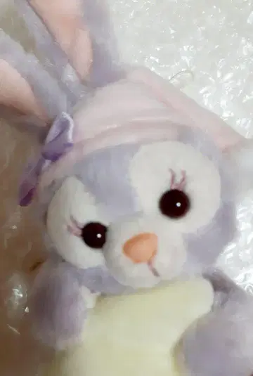 디즈니 스텔라루 가을 슬립 오버 마스코트