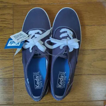 Keds 스니커즈