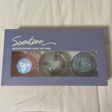 SEVENTEEN 미니 캐럿 키링 응원봉
