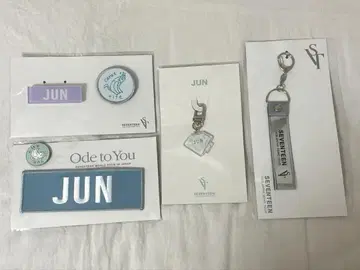 SEVENTEEN 준 배지 와펜 참 세트