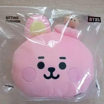 BTS COOKY 봉제 인형 BTS 정국