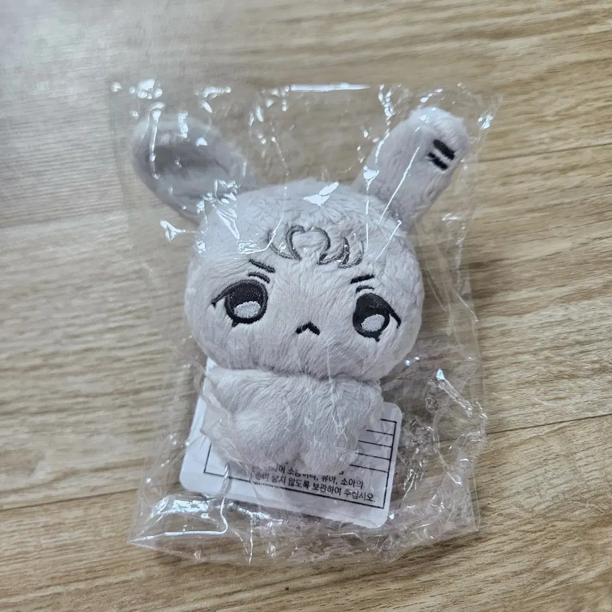 PLAVE | 플레이브 PLAVE Waneuk includes two Eunho outfits on